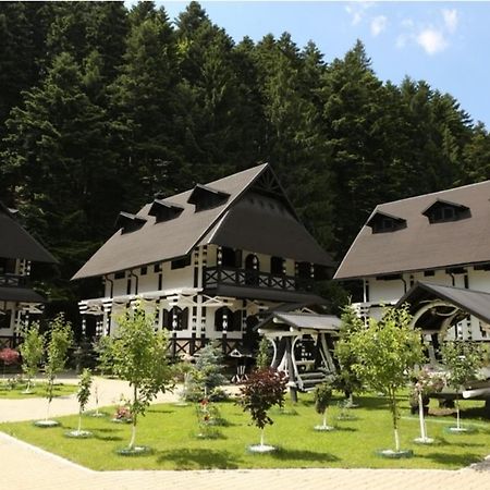 Complex Lions Bucovina 호텔 보로네츠 외부 사진