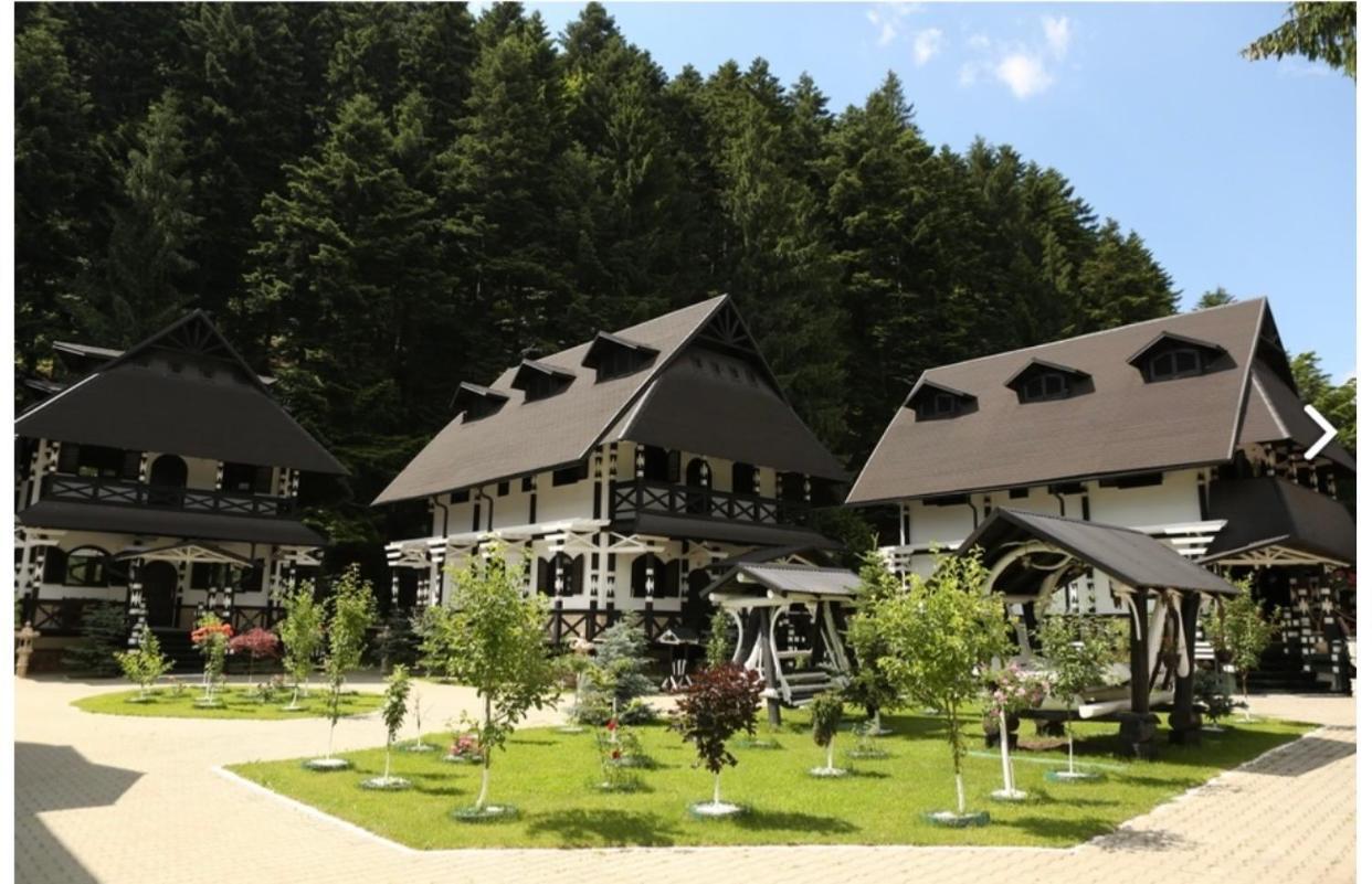 Complex Lions Bucovina 호텔 보로네츠 외부 사진