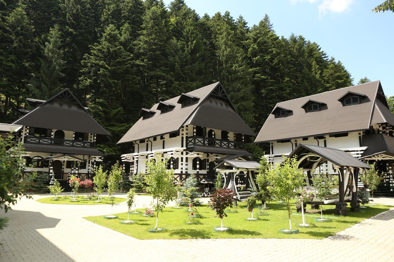 Complex Lions Bucovina 호텔 보로네츠 외부 사진