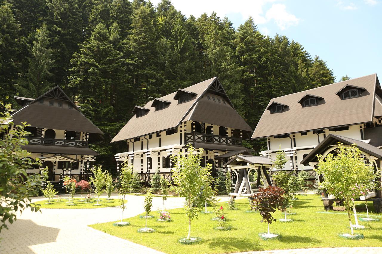 Complex Lions Bucovina 호텔 보로네츠 외부 사진