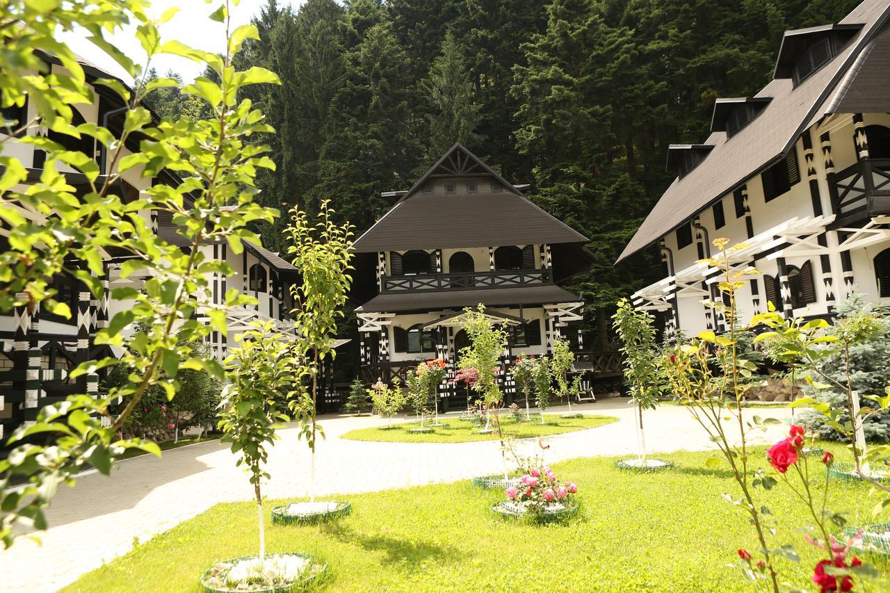 Complex Lions Bucovina 호텔 보로네츠 외부 사진